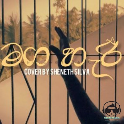Maga Haree (Cover) - Sheneth Silva