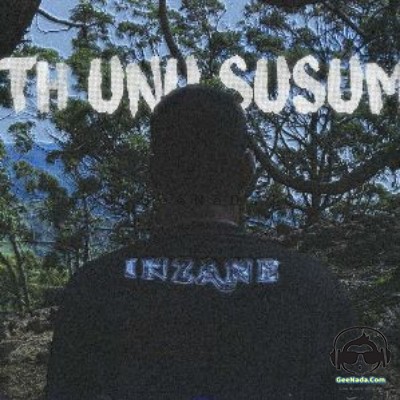 Math Unu Susuman - Zany Inzane