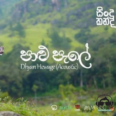 Palu Pale Acoustic Version (Sindu Kanda) - Dhyan Hewage