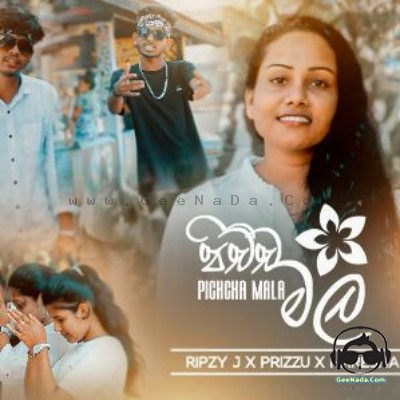 Pichcha Mala - Ripzy J x Prizzu x Haresha Maduwanthi