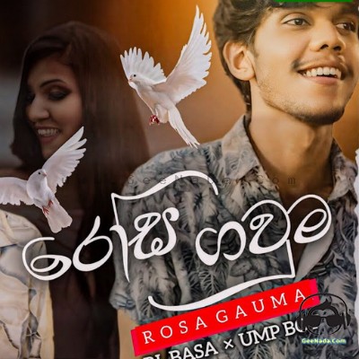 Rosa Gawuma - Ump boy x Rl basa