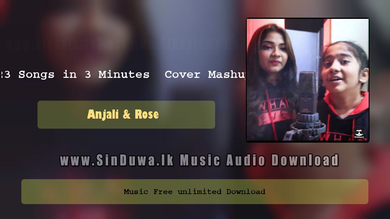 23 Songs in 3 Minutes  Cover Mashup