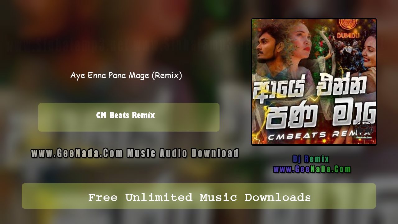 Aye Enna Pana Mage (Remix)