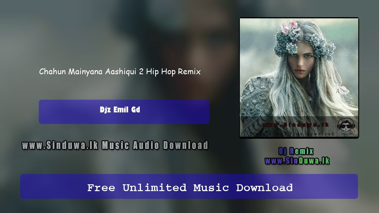 Chahun Mainyana Aashiqui 2 Hip Hop Remix