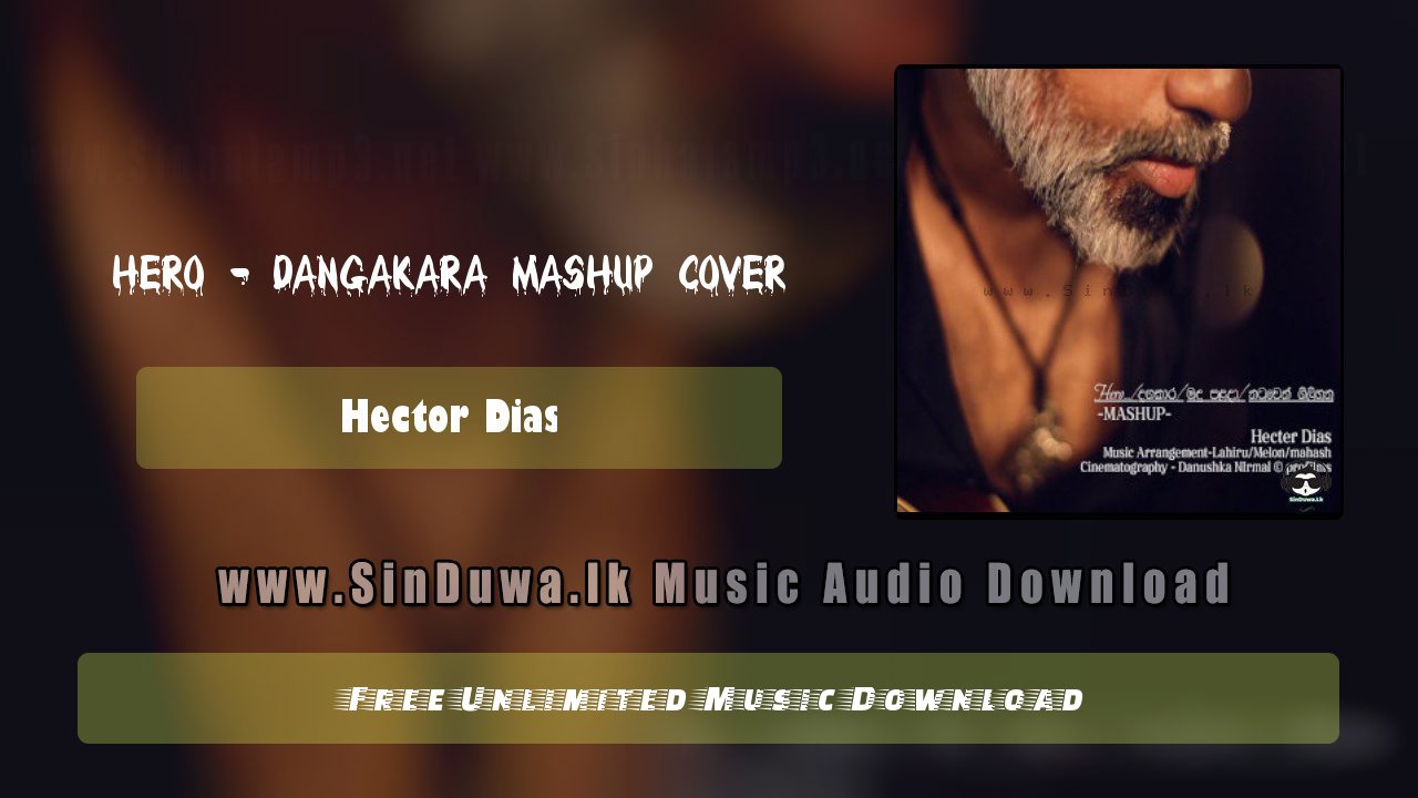 Hero - Dangakara Mashup Cover by Hector Dias song cover