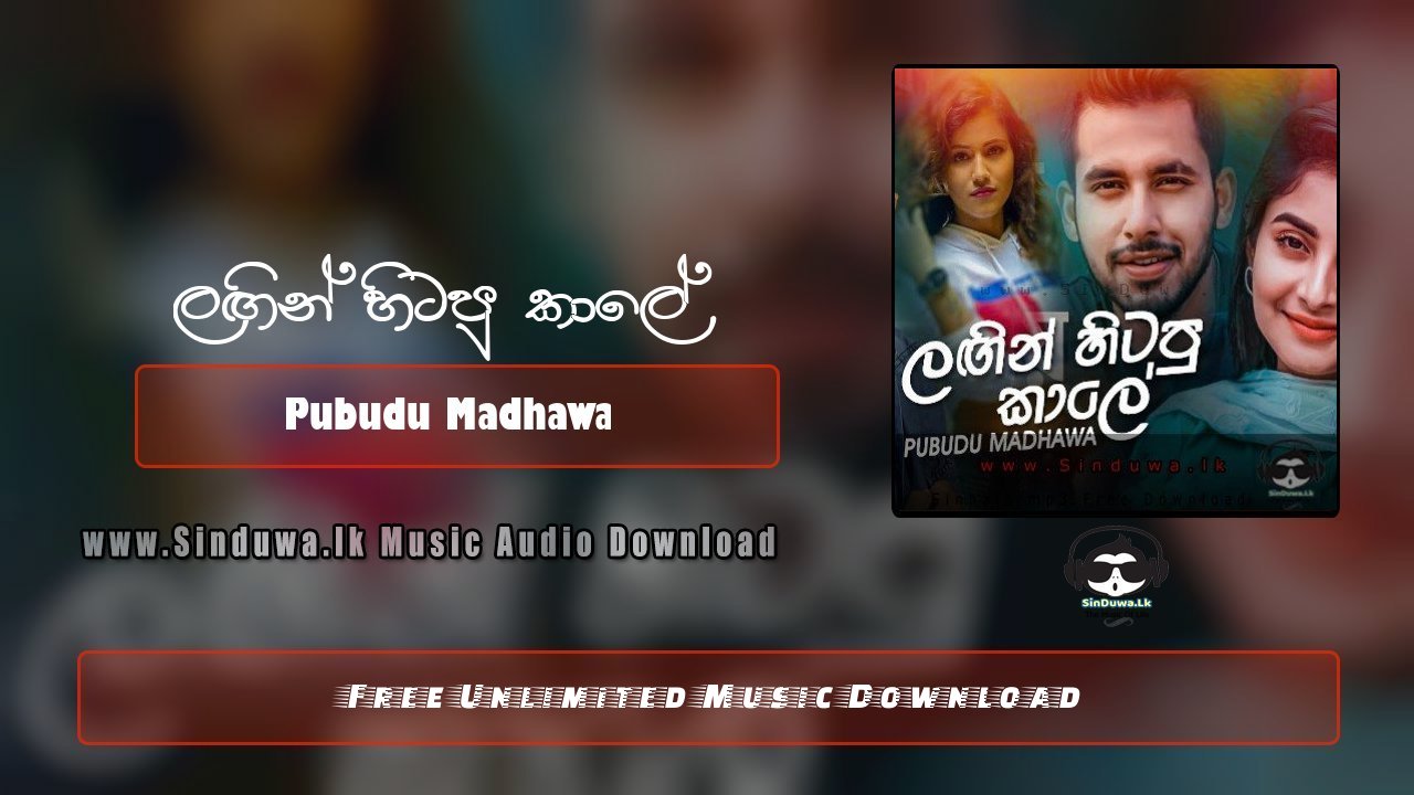 Langin Hitapu Kale by Pubudu Madhawa song cover