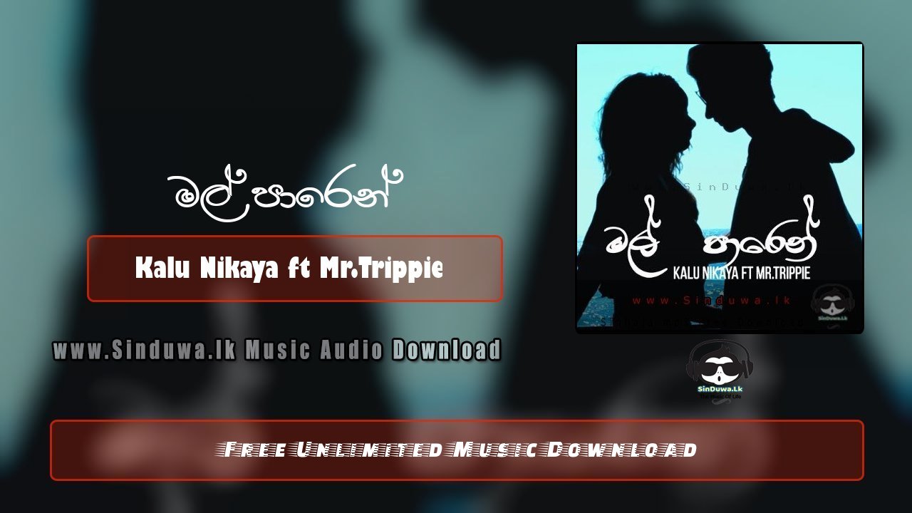 Mal Paren by Kalu Nikaya ft Mr.Trippie song cover