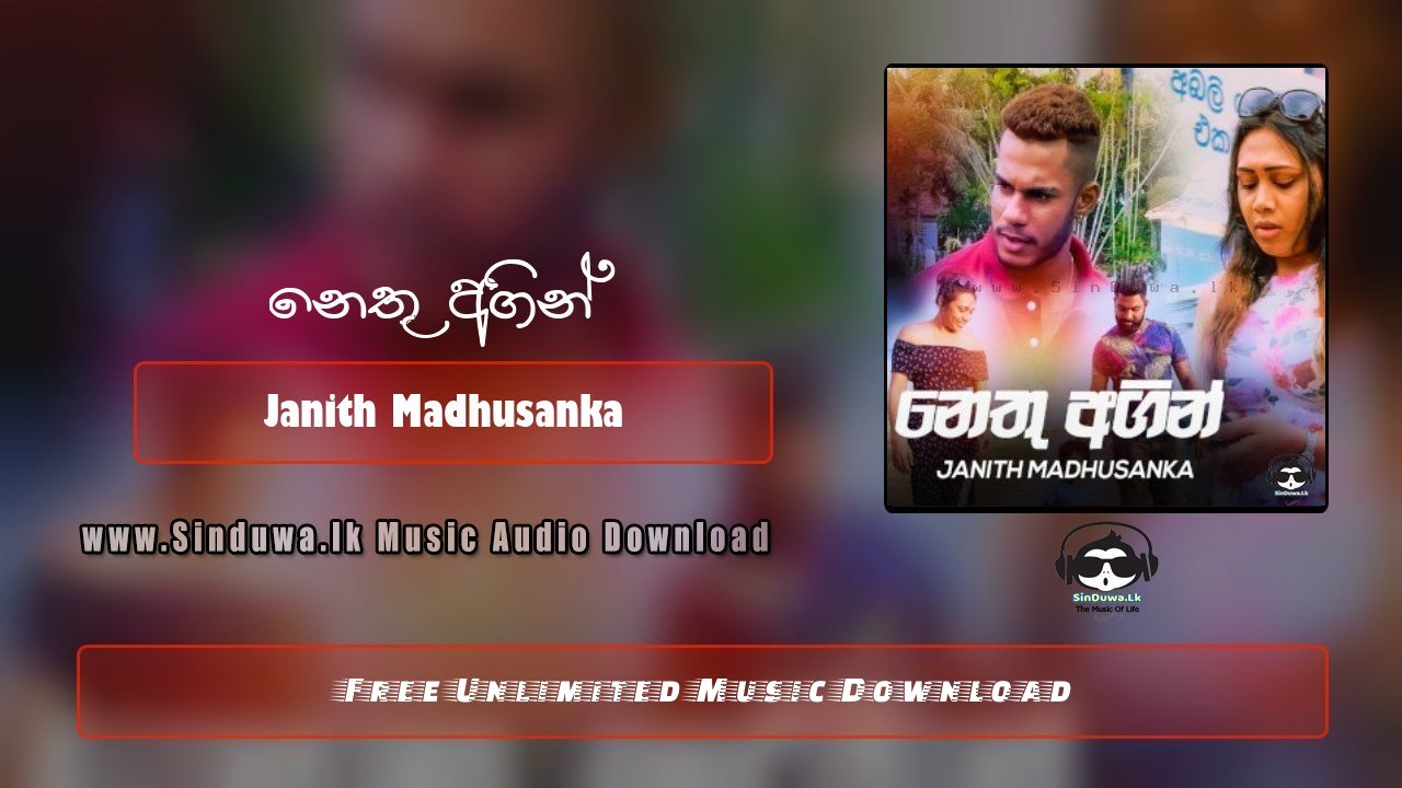 Nethu Agin by Janith Madhusanka song cover