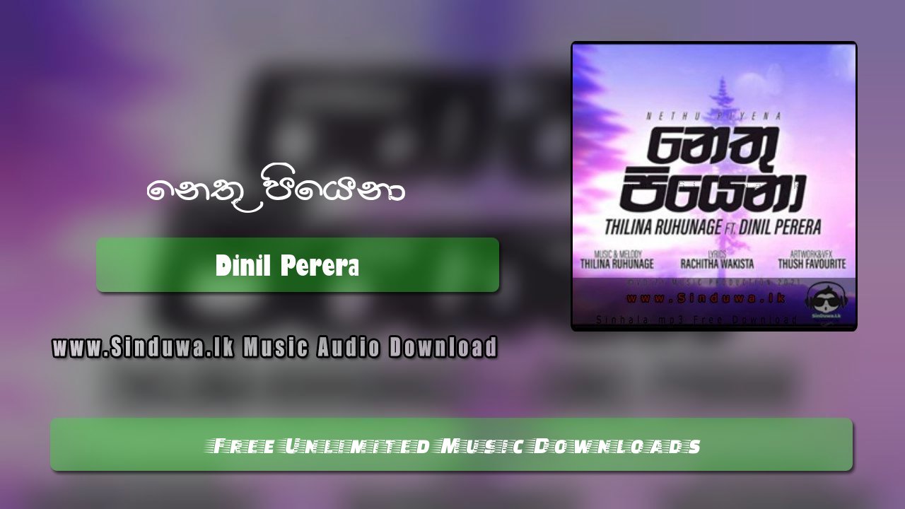 Nethu Piyena by Dinil Perera song cover