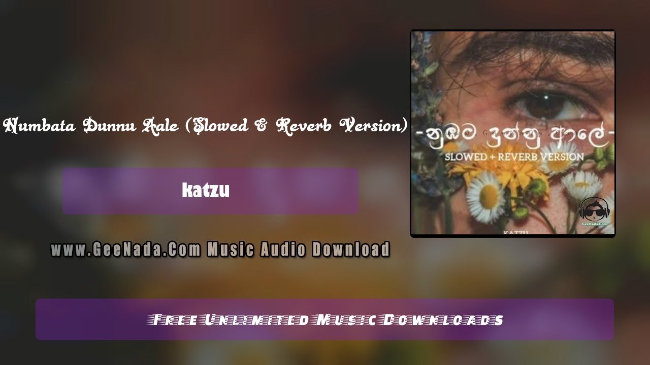 Numbata Dunnu Aale (Slowed & Reverb Version)