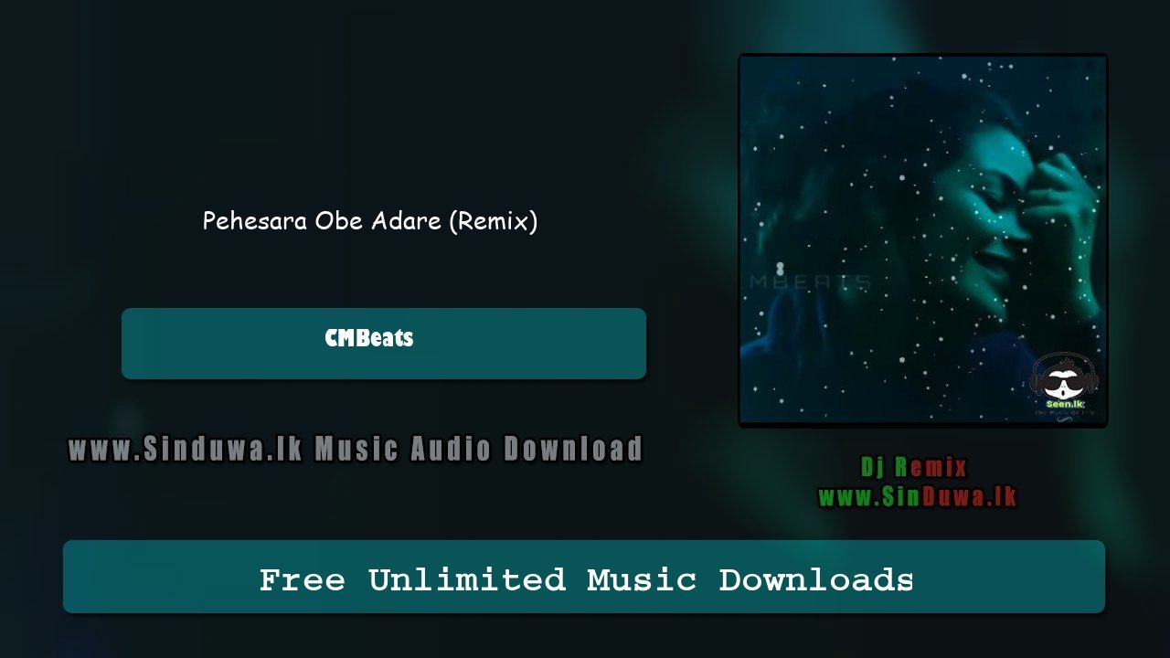 Pehesara Obe Adare (Remix)