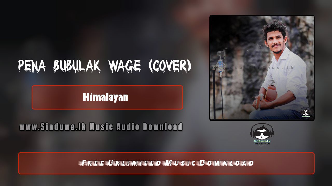 Pena Bubulak Wage (Cover)