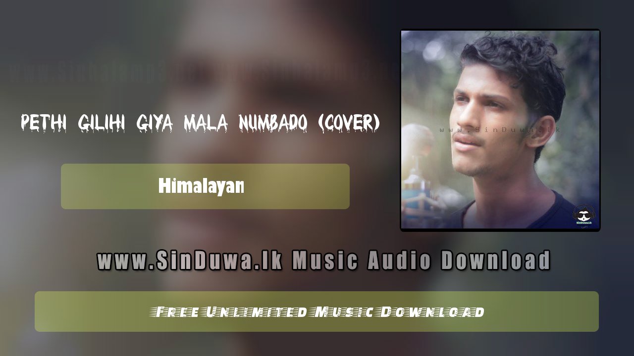 Pethi Gilihi Giya Mala Numbado (Cover)