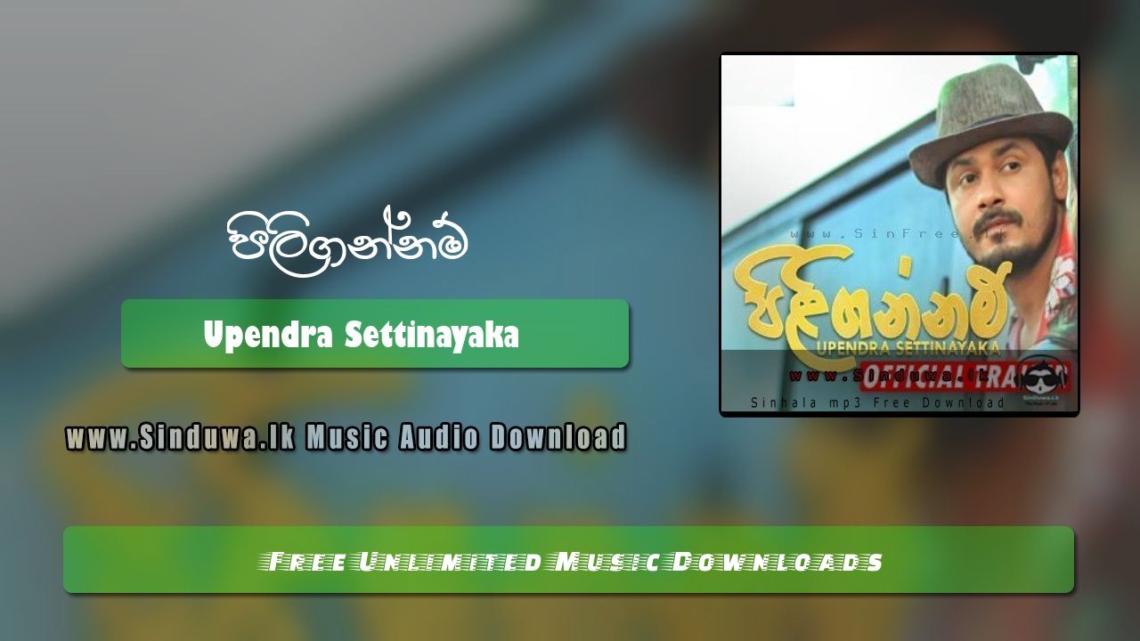 Piligannam by Upendra Settinayaka song cover