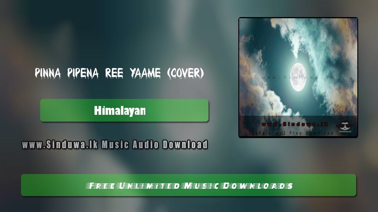 Pinna Pipena Ree Yaame (Cover)