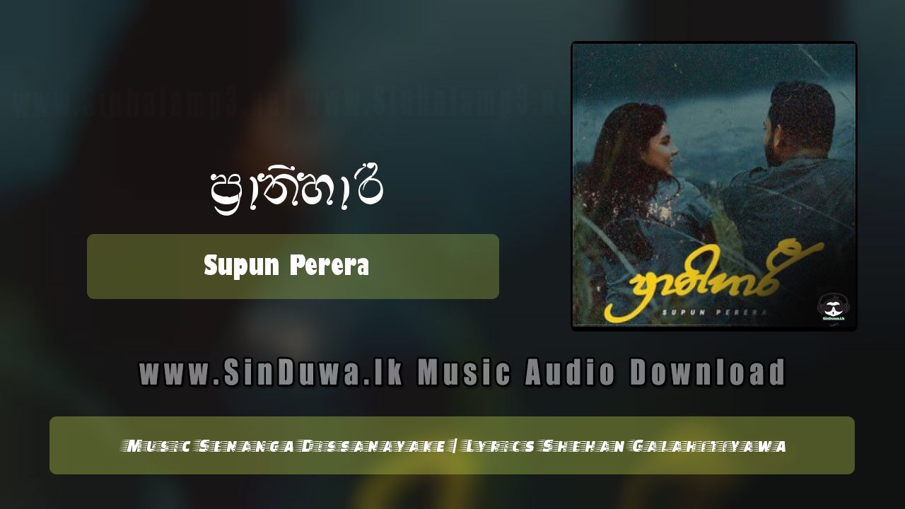 Prathihari by Supun Perera song cover