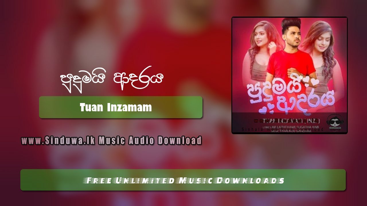 Pudumai Adaraya by Tuan Inzamam song cover