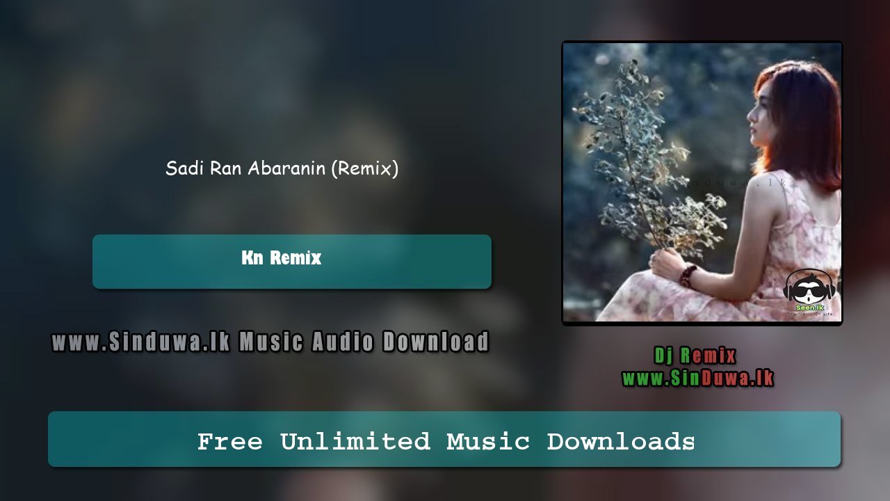Sadi Ran Abaranin (Remix)