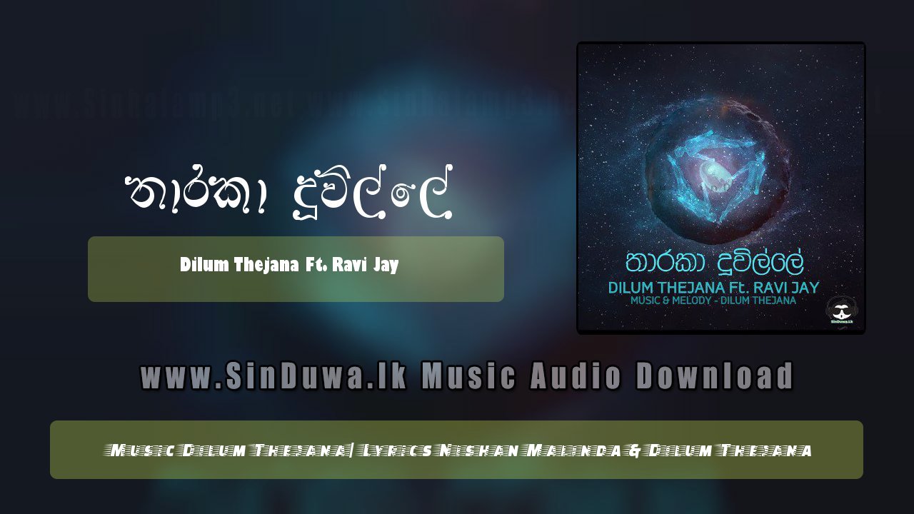 Tharaka Duwille by Dilum Thejana Ft. Ravi Jay song cover