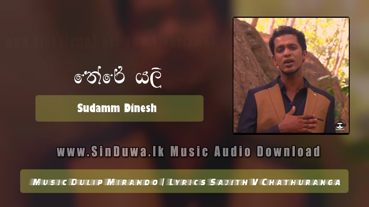 Theri Yalee by Sudamm Dinesh song cover