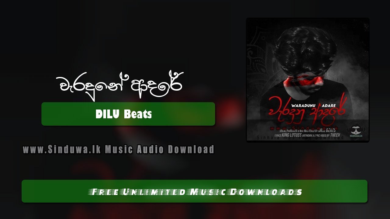 Waradunu Adare by DILU Beats song cover