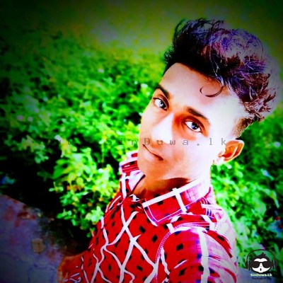 Pradeep Lakshitha Pradeep Lakshitha