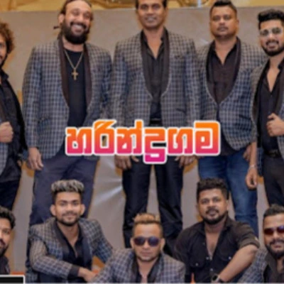 PURPLE RANGE LIVE IN HARINDRAGAMA 2025-07-06