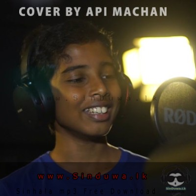 Dana Gaddi Awidinnata (Cover) Api Machan Mp3 Song Cover