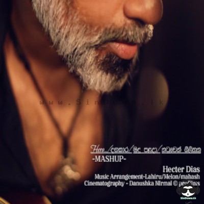Hero - Dangakara Mashup Cover Hector Dias Mp3 Song Cover