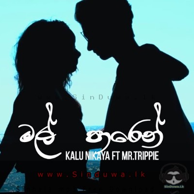 Mal Paren Kalu Nikaya ft Mr.Trippie Mp3 Song Cover