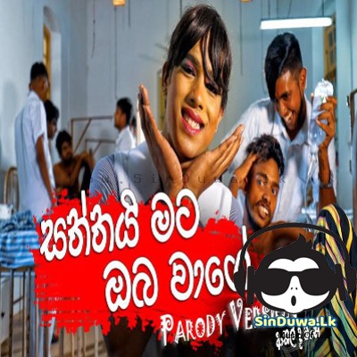 Saththai Mata Oba Wage (Parody Version) Shoi Boys Mp3 Song Cover