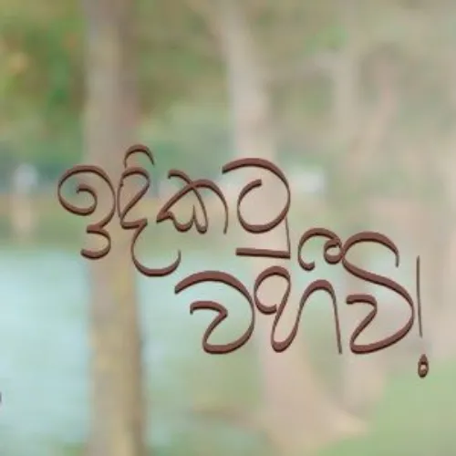 Indikatu wahivi - Abhisheka Wimalaweera