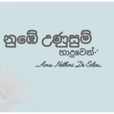 Nube Unusum Haduwen (Cover)