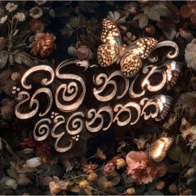 Himi Nathi Denethaka Sarith and Surith Mp3 Song Cover
