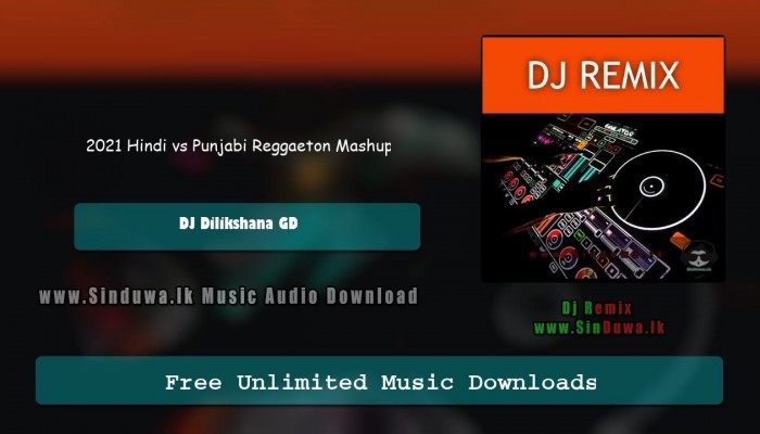 2021 Hindi vs Punjabi Reggaeton Mashup