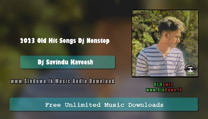 2023 Old Hit Songs Dj Nonstop 