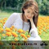 Loving Heart Panjab Remix Nonstop - Dj Anuruddha