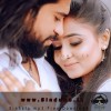 Saradha Cover