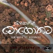 Mohothin Mohothata