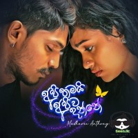 Api Thamai Apiwa Danne - Madhavee Anthony