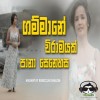 Gammne & Viramayak & Pana Senehasa (Mashup) Cover