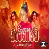 Chaarikawe - Surenie De Mel ft AK Twins