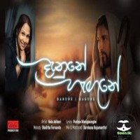 Danune Hagune - Nelu Adikari