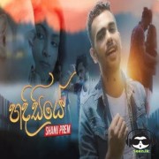 Hadisiye