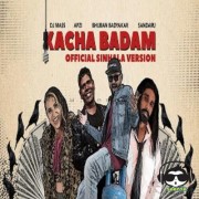 Kacha Badam Sinhala Version