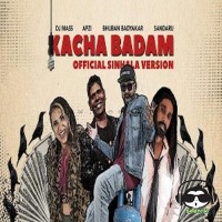 Kacha Badam Sinhala Version - DJ Mass ft Apzi & Sandaru Sathsara