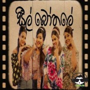 Seal Bothale (Cover)