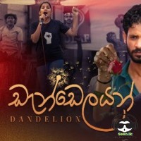 Dandelion - Imaya Perera