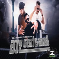 Naa Shoken - K80 x Shan Putha x Prasa Kg