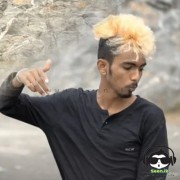 Jeevikawa